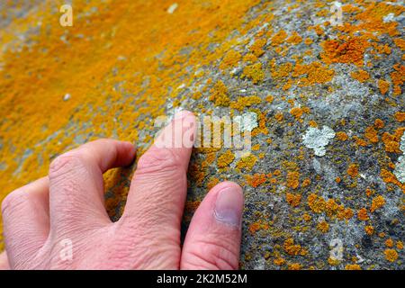 mossy old rocks, yellow moss-covered boulders, mossy rocks, and the north direction Stock Photo