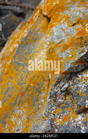 mossy big rocks, yellow mossy big rocks, old mossy rocks Stock Photo ...