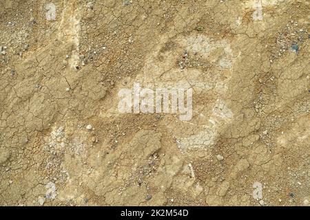 soil types-yellow soil type, sandy and hard rock yellow soil, soil layers, soil formation Stock Photo