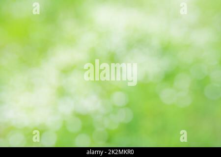 Abstract light green background Stock Photo