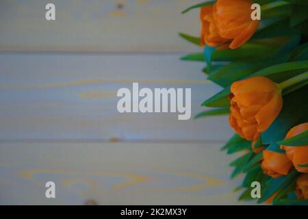 Orange tulips with green leaves lie on the side on a wooden background Stock Photo