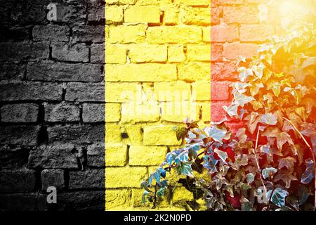 Belgium grunge flag on brick wall with ivy plant sun haze view Stock Photo