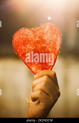 Heart in hand Stock Photo