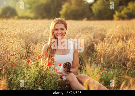 Young woman sitting with Jack Russell terrier puppy on her lap, afternoon sun lit wheat field in background, red poppy flowers next to her. Stock Photo