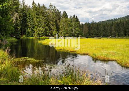 Beautiful Small Arber lake in the Bavarian Forest, Germany. Stock Photo
