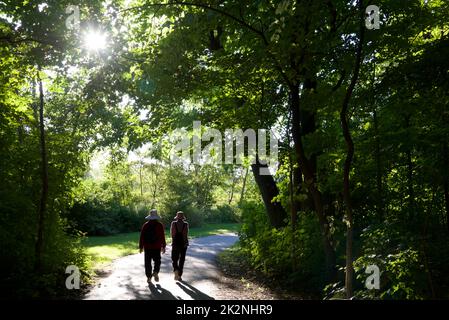Senior adults walking  in the public park with lens flare Stock Photo