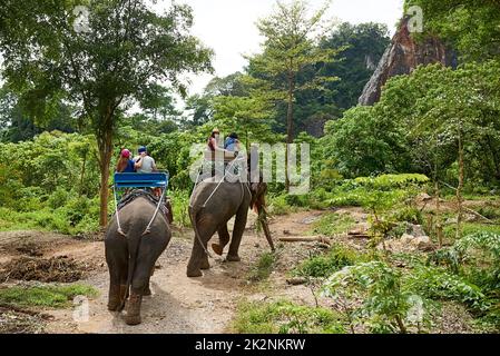 What better way to explore natures beauty. Shot of tourists on an elephant ride through a tropical rainforest. Stock Photo