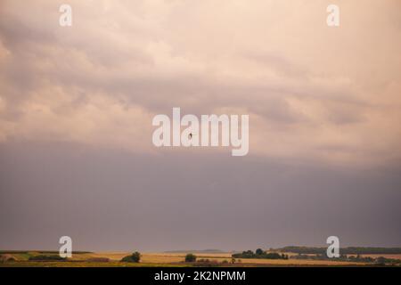 beautiful orange sunset sky with clouds, bird in the sky Stock Photo