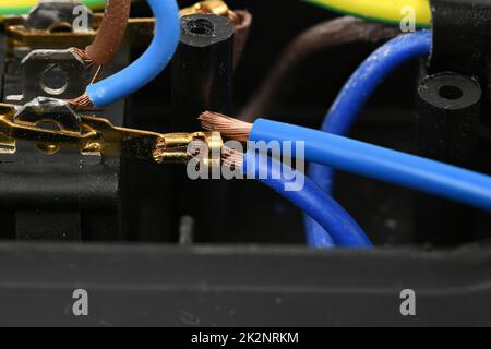 Internal device of a black plastic electrical extension cord for household appliances, isolated on white. High resolution photo. Full depth of field. Stock Photo