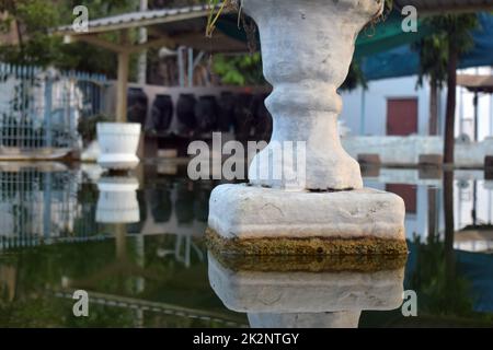 Wazoo hi-res stock photography and images - Alamy