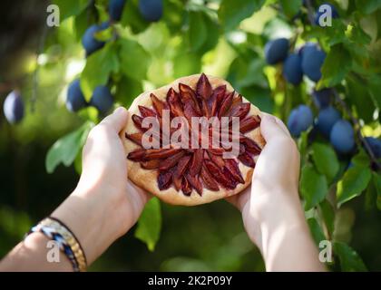 Woman hands holds fresh baked  delicious plums pie, galette or tart in the garden in front of the plum tree. Homemade sweet concept. Stock Photo