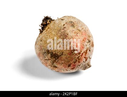 Beetroot isolated on a white background Stock Photo