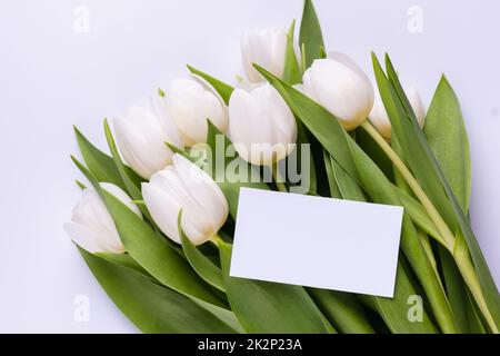 Greeting or business card mockup and white tulips. Stock Photo