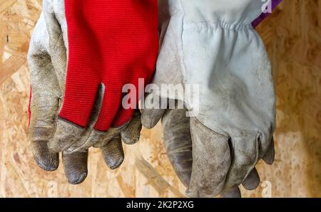 Two pairs of old leather work gloves hang in front of wooden background. Stock Photo