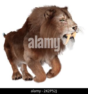 3D Rendering Sabertooth Tiger on White Stock Photo