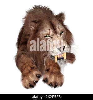 3D Rendering Sabertooth Tiger on White Stock Photo