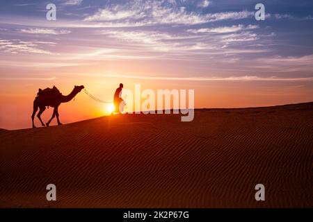 Indian cameleer camel driver with camel silhouettes in dunes on sunset. Jaisalmer, Rajasthan, India Stock Photo