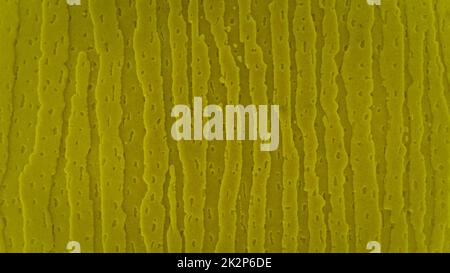 yellow plastic texture surface Stock Photo