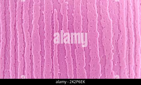 plastic texture surface. texture background macro photo Stock Photo