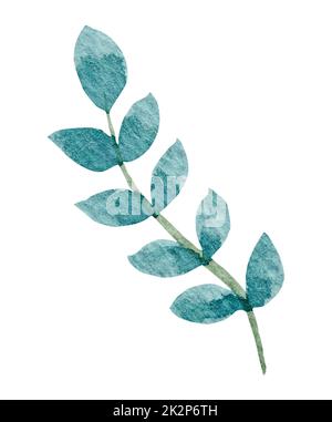 Green leaf watercolor on white background Stock Photo