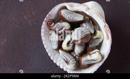Belgian seashells traditional chocolate candies. Belgian milk chocolate bonbons shaped as seashells with clams, seahorses Stock Photo
