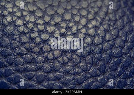Crocodile skin background texture. macro photography Stock Photo