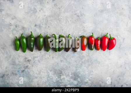 Gradient Row of Jalapeno Peppers on Concrete Background Stock Photo