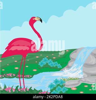 pink flamingo in the water Stock Photo