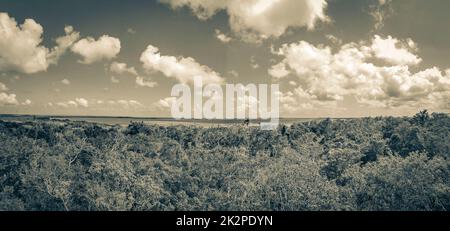 Muyil Lagoon panorama view in tropical jungle Mexico. Stock Photo