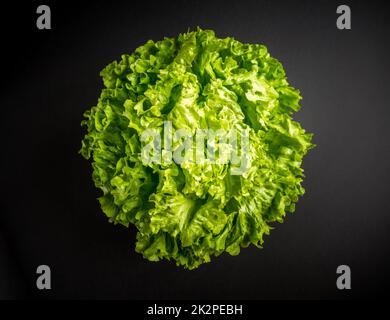 Lettuce salad isolated on a black background Stock Photo