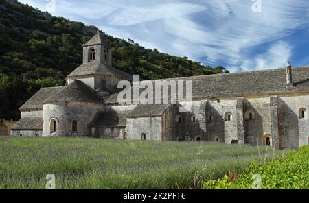 Cistercian Abbey of Senanque and blooming rows of lavender. Gordes, Vaucluse, Provence - France Stock Photo