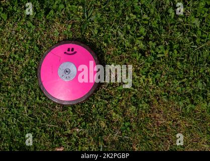 High angle view of pink discus off center in green grass Stock Photo