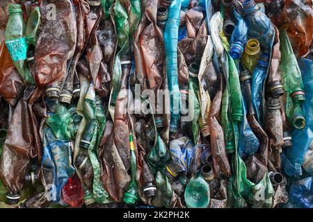 Plastic bottles in bales for waste recycling Stock Photo