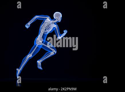 Running skeleton. Contains clipping path. Stock Photo