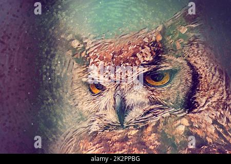 Owl close-up portrait. Digital drawing Stock Photo
