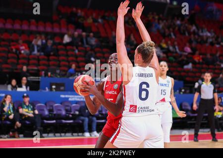 23rd September 2022; Sydney, Homebush, New South Wales, Australia, Women's World Cup Basketball: Canada versus France: Laeticia AMIHERE looks to the basket Stock Photo