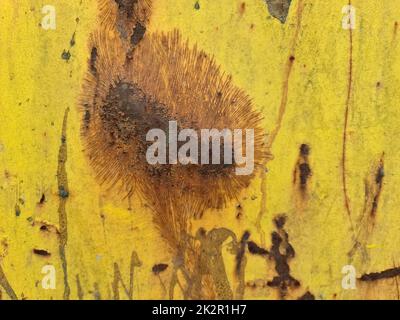 Texture of rusty metal and steel with lots of corrosion in high resolution.. Stock Photo