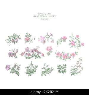 Wedding invitation floral set. Fuchsia Rose Chrisanthemum and wildflowers in pastel colors. Stems, leaves, flowers on white background. Vector illustration, print, greeting card, logo, branding design Stock Photo