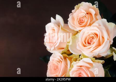 A bouquet of roses is beautiful, fresh, bright on a dark brown background. Stock Photo