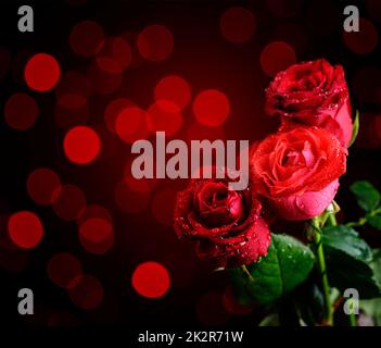 Red roses on bokeh background Stock Photo - Alamy