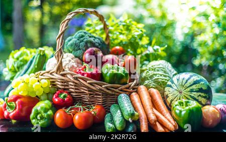 Variety of fresh organic vegetables and fruits in the garden Stock Photo