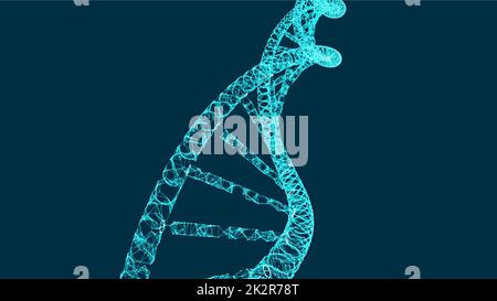 DNA molecule helix, vector illustration for medical and science creative, modern background Stock Photo