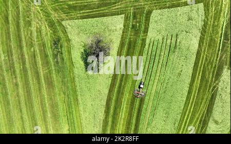 Aerial photo with drone of tractor making hay on a meadow with tree in bavaria Stock Photo