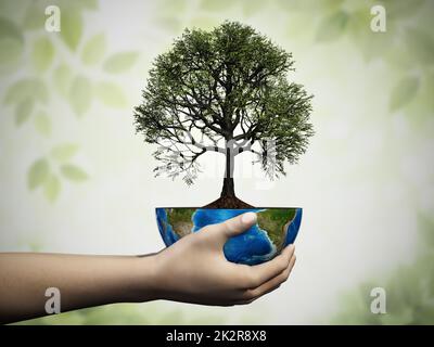 Hands holding an oak tree planted on a globe. Sustainability concept. 3D illustration Stock Photo