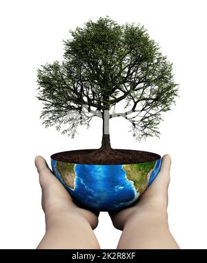 Hands holding an oak tree planted on a globe. Sustainability concept. 3D illustration Stock Photo