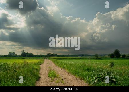 Dirt road through green fields and the sun behind the clouds Stock Photo