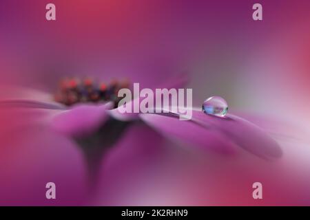 Beautiful Macro Shot of Magic Flowers.Border Art Design.Magic Light.Extreme Close up Photography.Conceptual Abstract Image.Violet and Red Background.Fantasy Art.Creative Wallpaper.Beautiful Nature Background.Amazing Spring Flower.Water Drop.Copy Space. Stock Photo