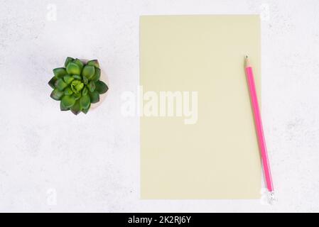 Empty paper with a pen and a cactus textured background, brainstorming for new ideas, writing a message, taking a break, home office desk Stock Photo