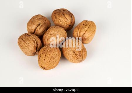 Whole walnuts on white Stock Photo