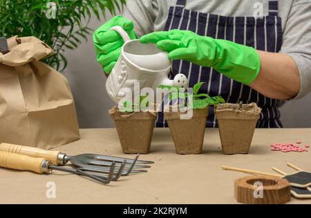 A woman in green rubber gloves holds a white ceramic watering can Stock Photo